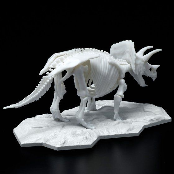 Dinosaur Model Kit Limex Skeleton Triceratops