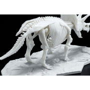 Dinosaur Model Kit Limex Skeleton Triceratops