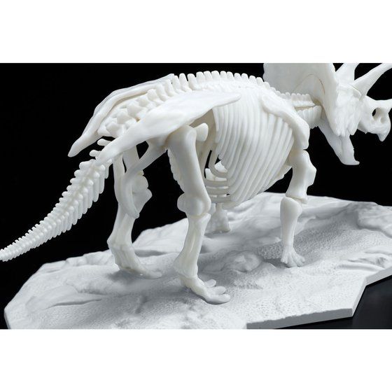 Dinosaur Model Kit Limex Skeleton Triceratops