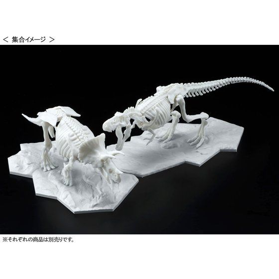 Dinosaur Model Kit Limex Skeleton Triceratops