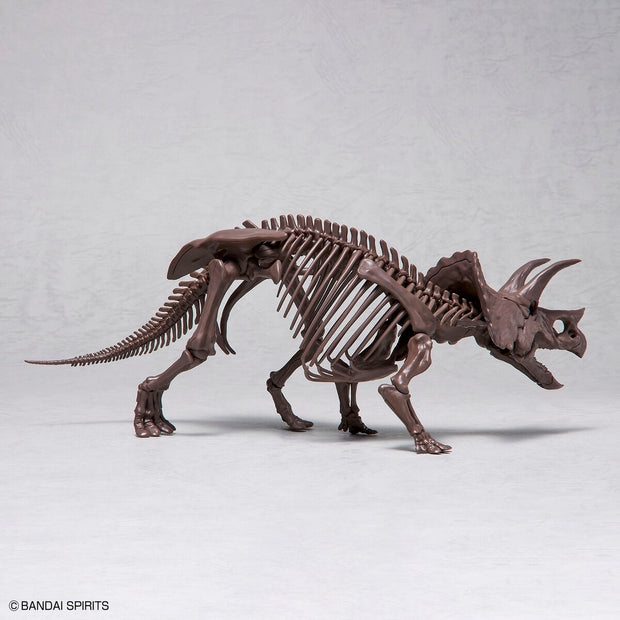 Imaginary 1/32 Skeleton Triceratops