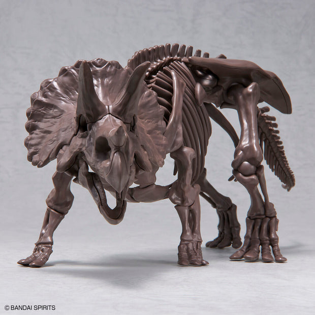 Imaginary 1/32 Skeleton Triceratops