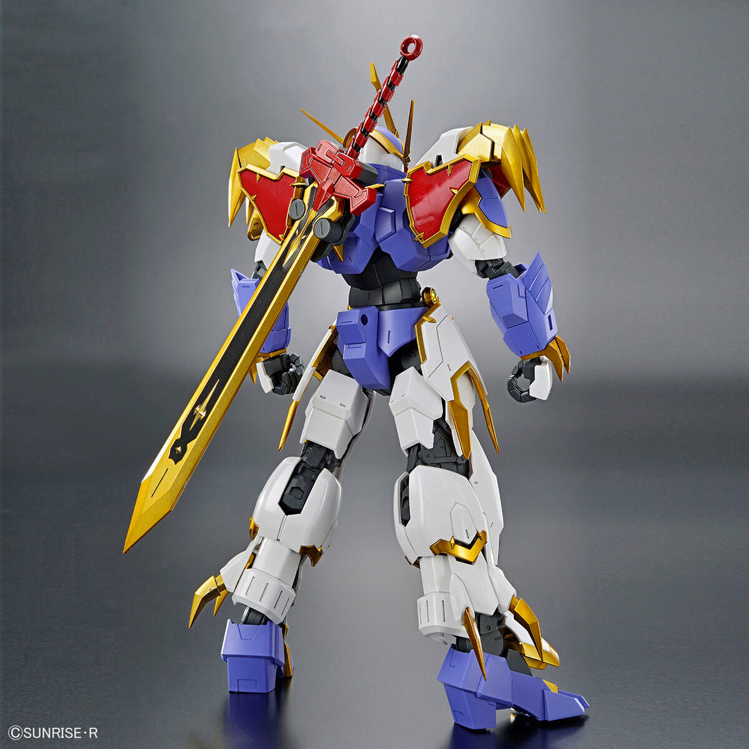 Riramonさま HG Amplified Imgn Ryujinmaru