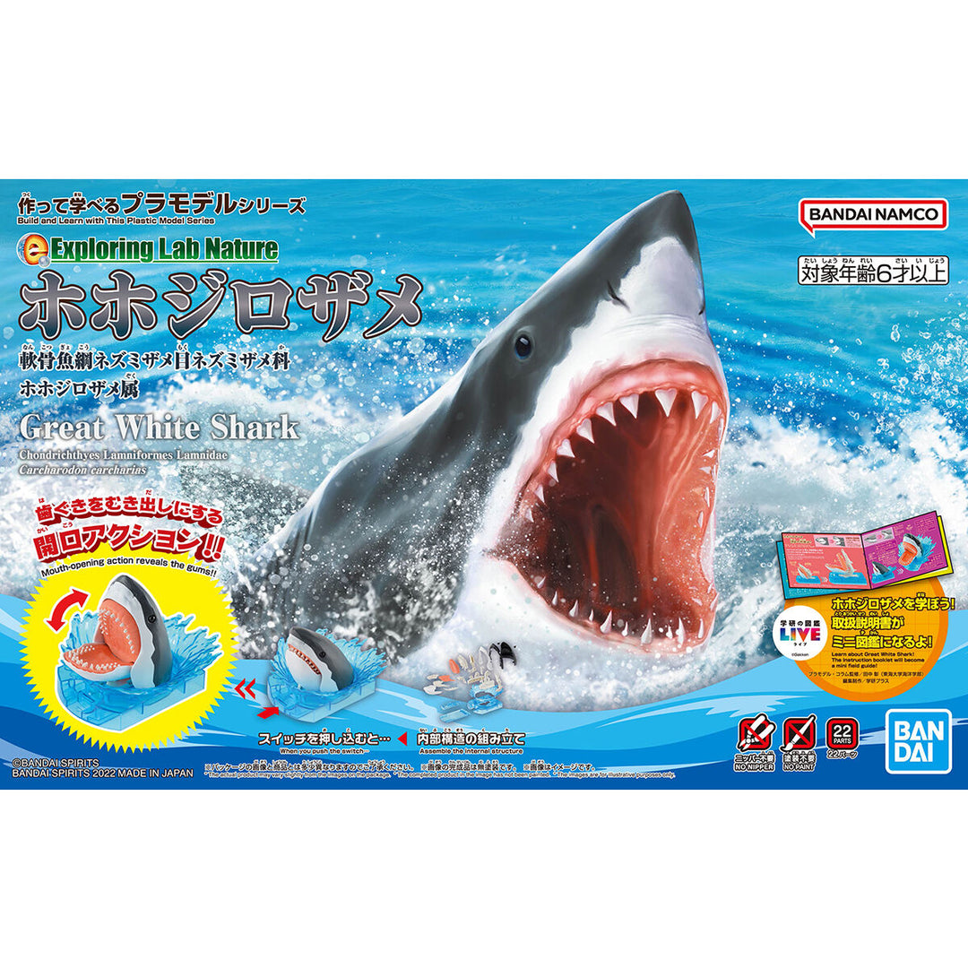 63392_1_1080x.jpg?v=1656555542