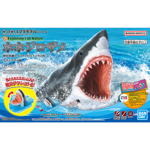 Exploring Lab Nature Great White Shark