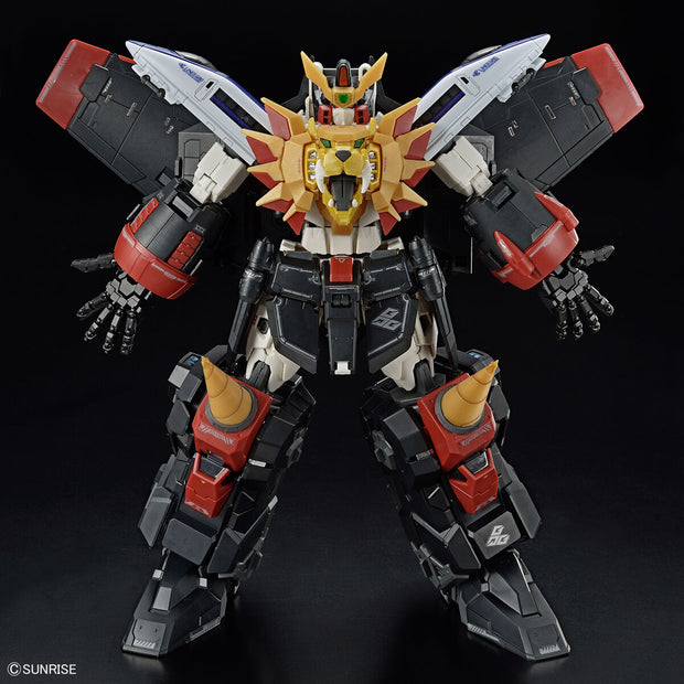 Rg GaoGaiGar