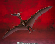 SHMA S.H.Monsterarts Rodan (2021) The Second Form
