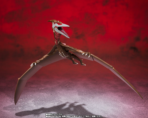 SHMA S.H.Monsterarts Rodan (2021) The Second Form