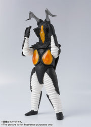 SHF Zetton