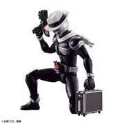 Figure-Rise Standard Kamen Rider Skull