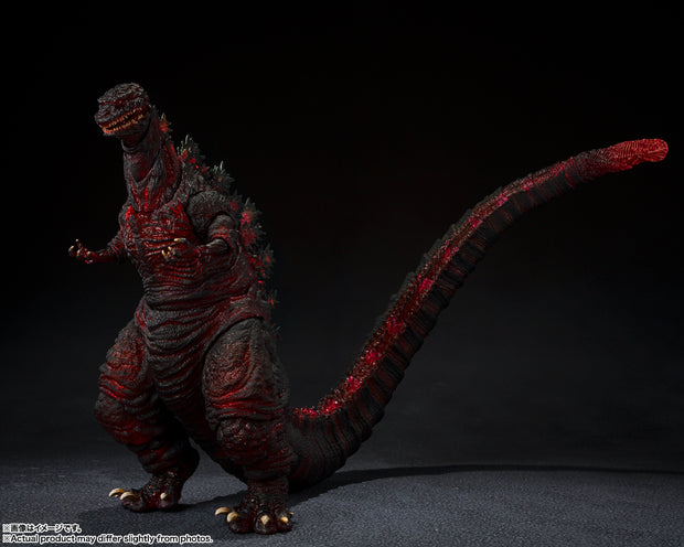 SHMA S.H.Monsterarts Godzilla (2016) The Fourth Night Combat