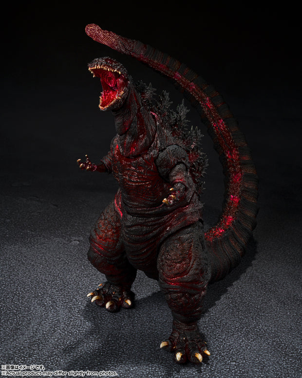 SHMA S.H.Monsterarts Godzilla (2016) The Fourth Night Combat