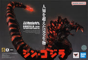SHMA S.H.Monsterarts Godzilla (2016) The Fourth Night Combat
