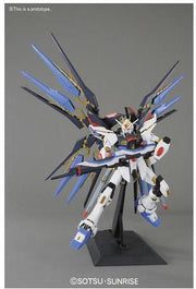 Pg 1/60 Strike Freedom Gundam
