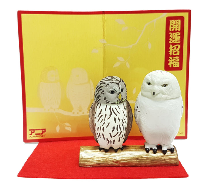 Ania New Year Oriental Zodiac Owl