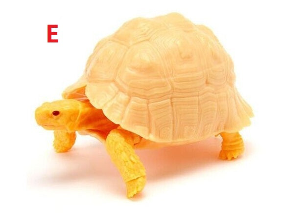Capsule Turtle E(05) OR F(06)