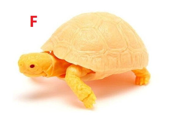 Capsule Turtle E(05) OR F(06)
