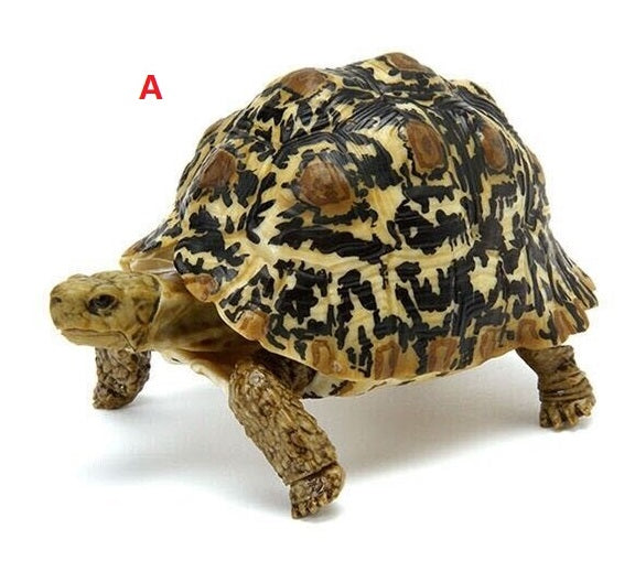 6 in 1 Capsule Turtle 06 (Complete Set of 6)