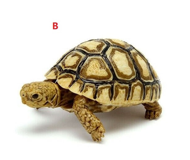 6 in 1 Capsule Turtle 06 (Complete Set of 6)