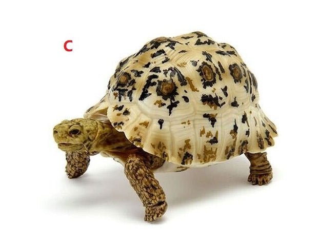 6 in 1 Capsule Turtle 06 (Complete Set of 6)