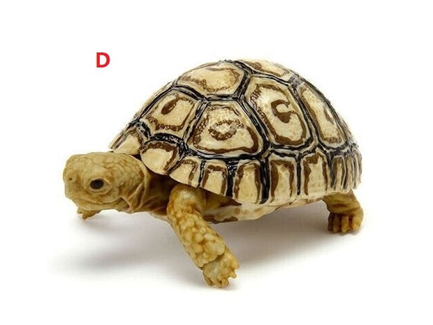 6 in 1 Capsule Turtle 06 (Complete Set of 6)