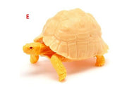 6 in 1 Capsule Turtle 06 (Complete Set of 6)