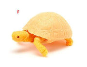 6 in 1 Capsule Turtle 06 (Complete Set of 6)