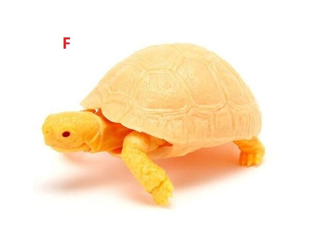 6 in 1 Capsule Turtle 06 (Complete Set of 6)