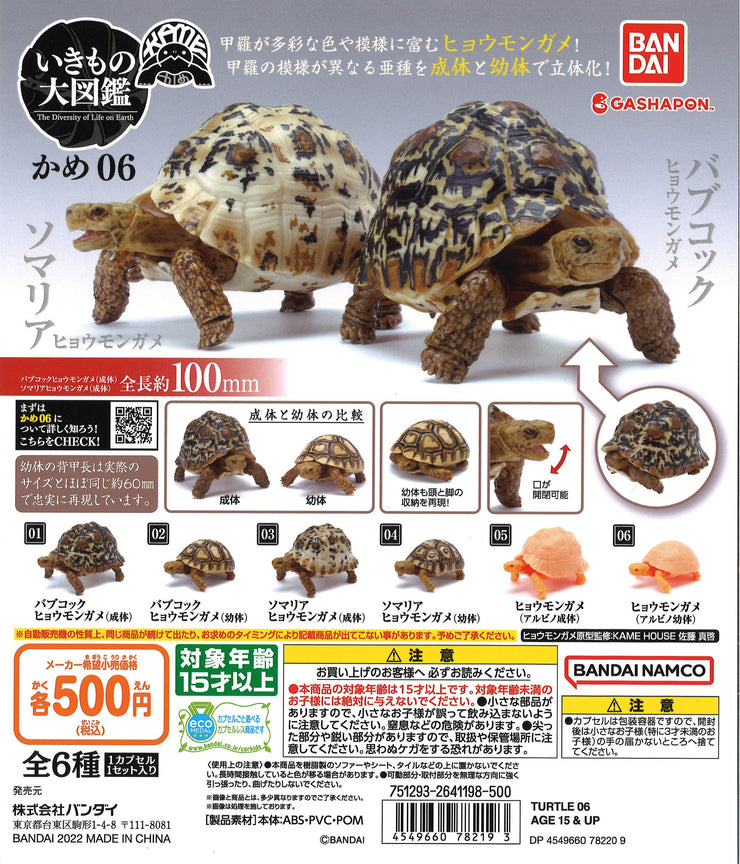 6 in 1 Capsule Turtle 06 (Complete Set of 6)