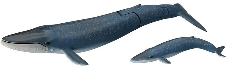 ANIA AL-11 BLUE WHALE