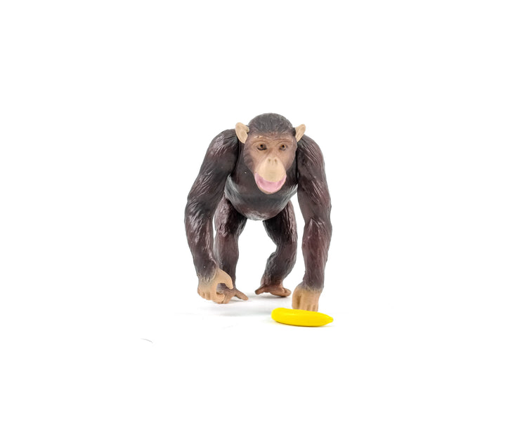 Ania AS-14 Chimpanzee (New)