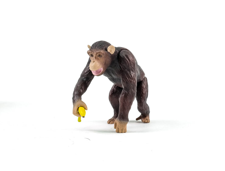 Ania AS-14 Chimpanzee (New)
