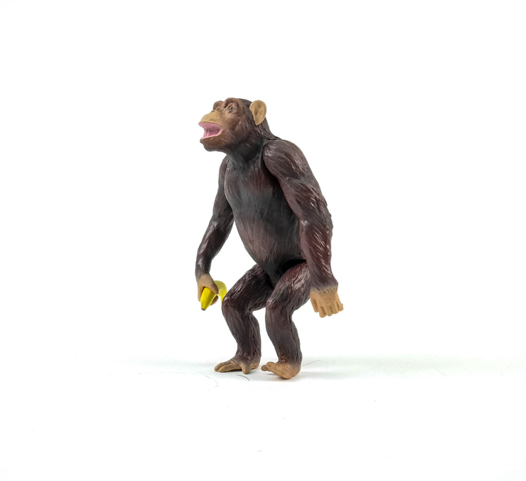 Ania AS-14 Chimpanzee (New)