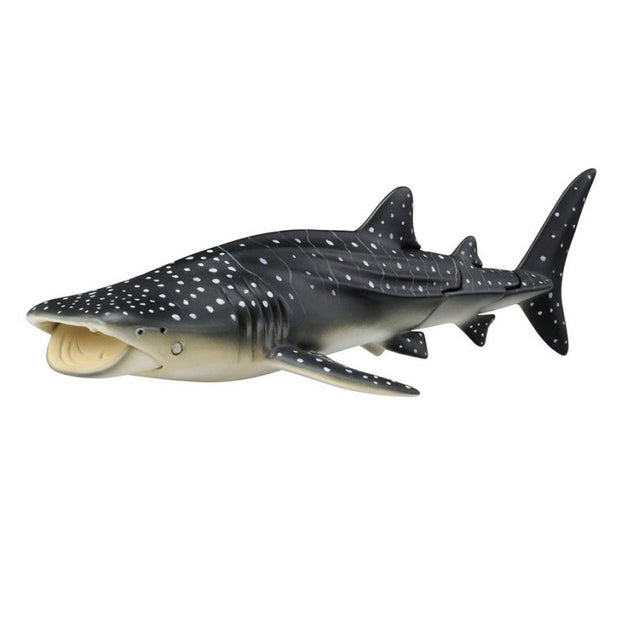 Ania AL-05 Whale Shark