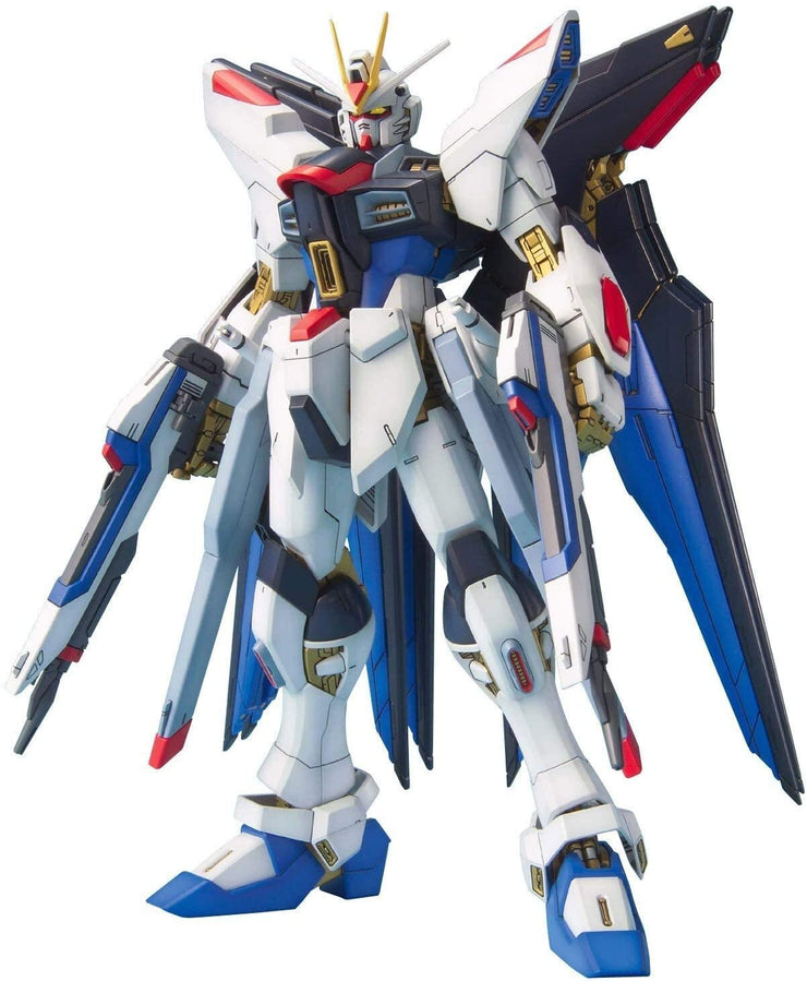 Mg 1/100 Strike Freedom Gundam