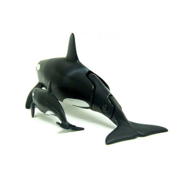 Ania AL-08 Killer Whale