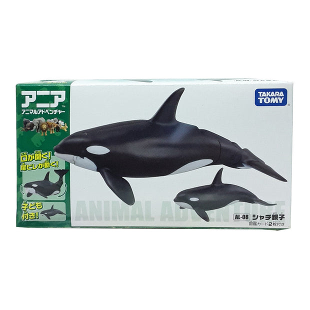 Ania AL-08 Killer Whale