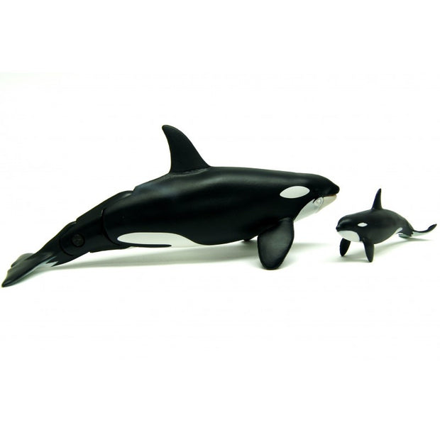 Ania AL-08 Killer Whale