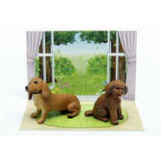 Ania AP-02 Miniature Dachshund & Toy Poodle