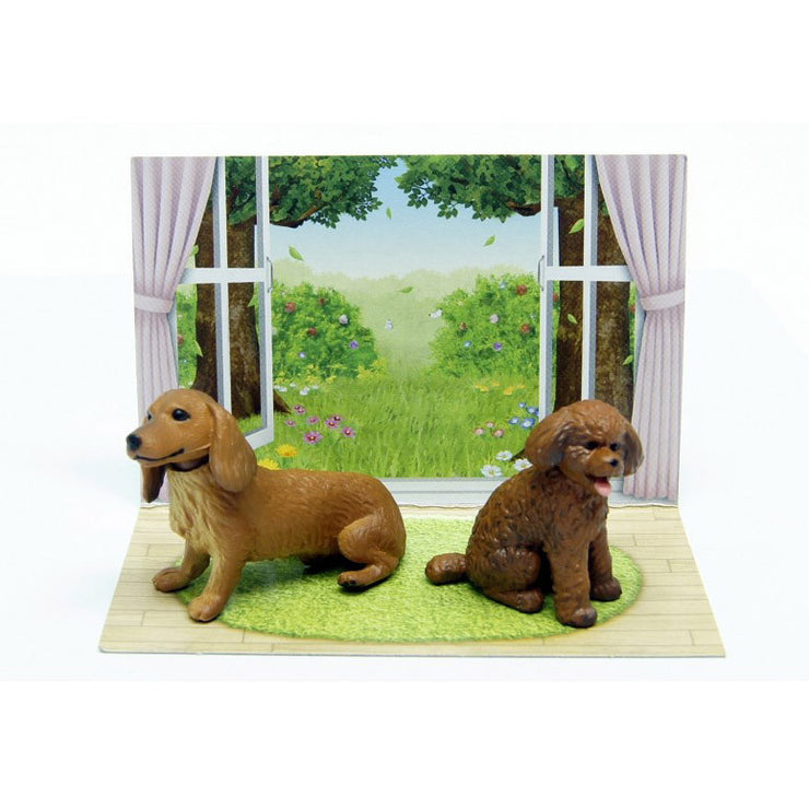 ANIA AP-02 MINIATURE DACHSHUND & TOY POODLE