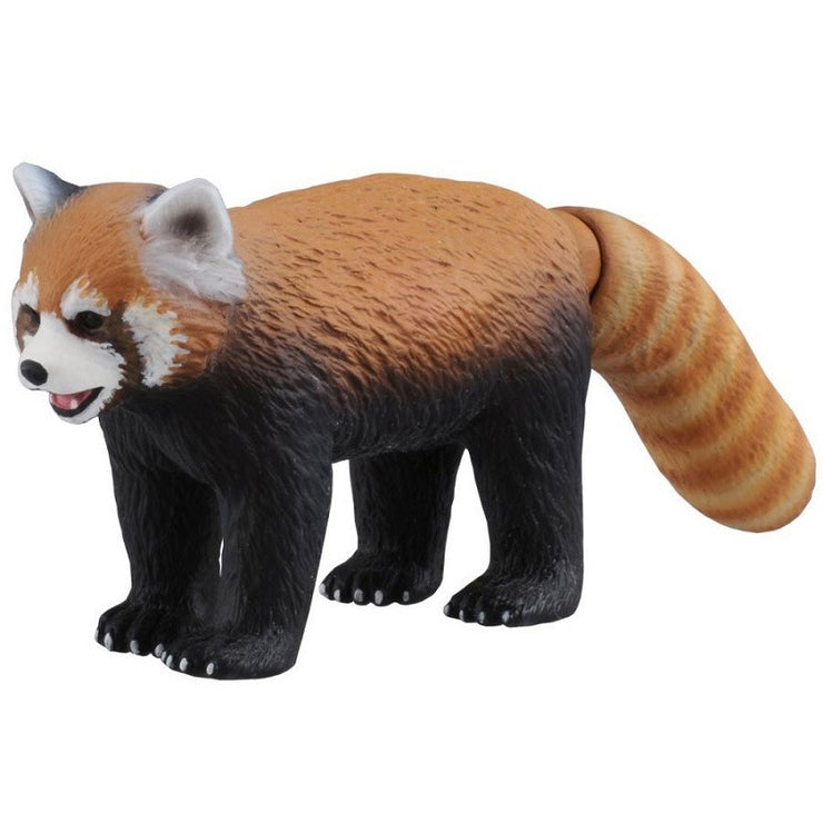 Ania AS-11 Red Panda