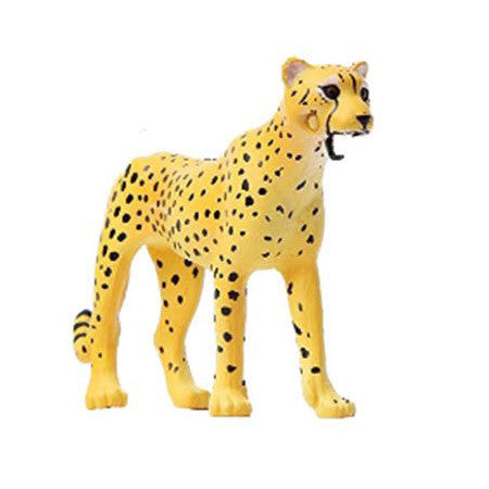 Ania AS-13 Cheetah