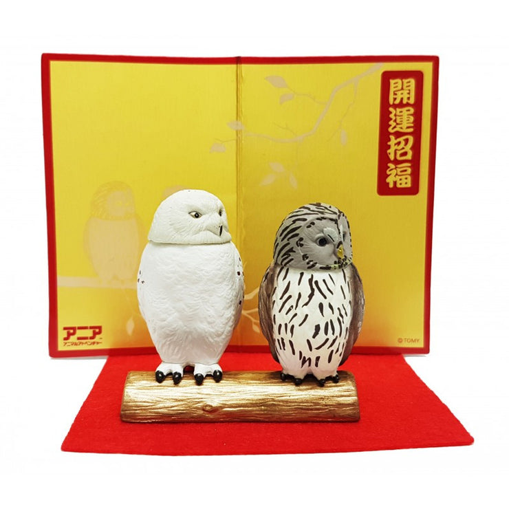 Ania New Year Oriental Zodiac Owl
