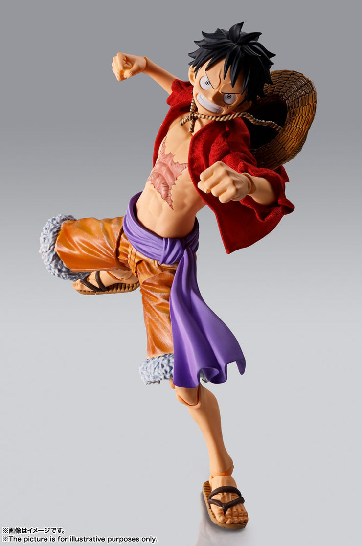 Imagination Works Monkey D Luffy